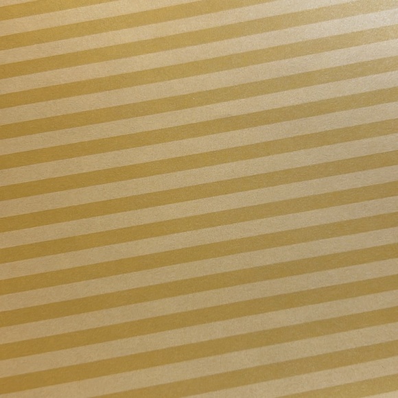 CTMH scrapbook paper - Picture 4 of 14